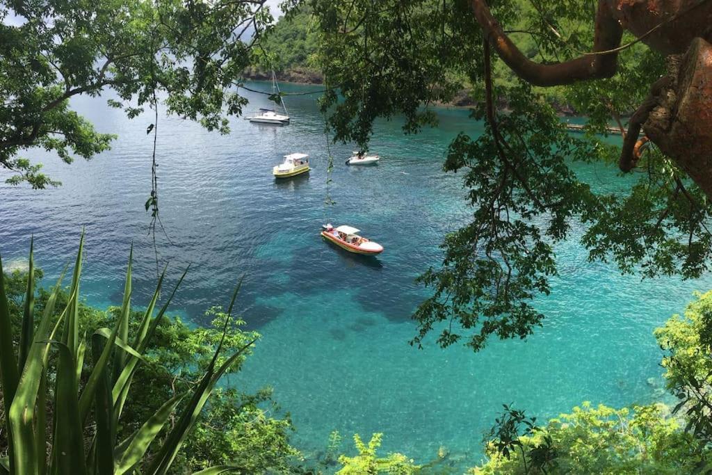 Le Marin - Bungalow Classe 3 Etoiles Tb Equipe & Confortable - Escapade En Couple - Paisible & En Toute Discretion - Wi-Fi - Climatisation - Calme & Serenite - Plages Du Sud, Centre De Carenage & Marina Du Marin Proche En Voiture - Acheminement Sur D 외부 사진