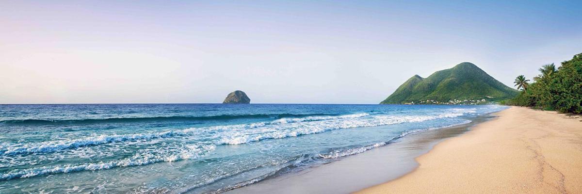 Le Marin - Bungalow Classe 3 Etoiles Tb Equipe & Confortable - Escapade En Couple - Paisible & En Toute Discretion - Wi-Fi - Climatisation - Calme & Serenite - Plages Du Sud, Centre De Carenage & Marina Du Marin Proche En Voiture - Acheminement Sur D 외부 사진
